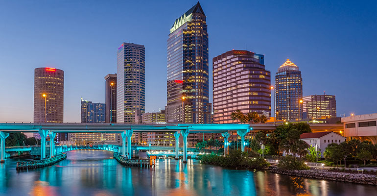 Tampa city skyline at night