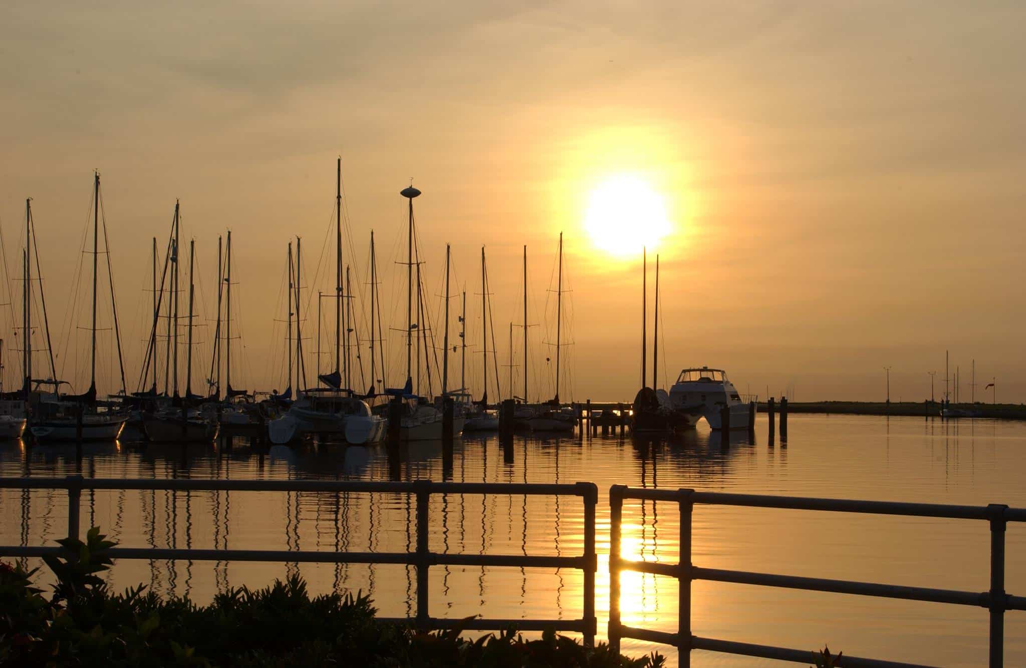 sunset in harbor with boats in Pinellas Florida