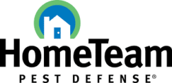 HomeTeam Pest Defense