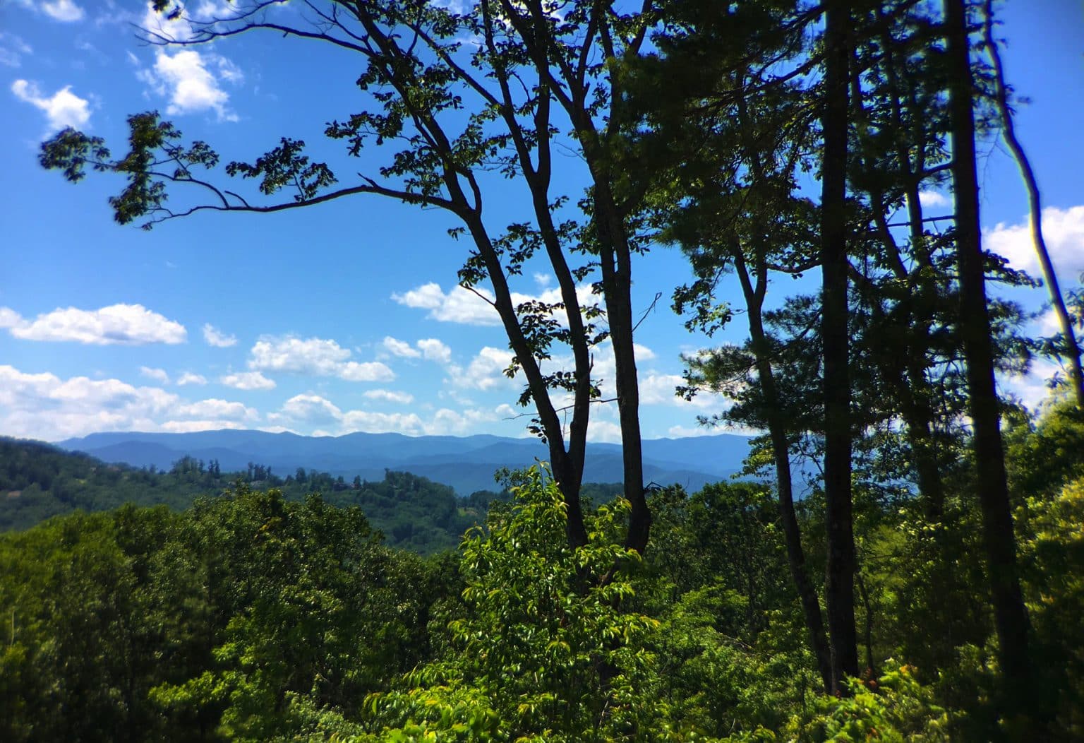 Mountain view with trees and greenery