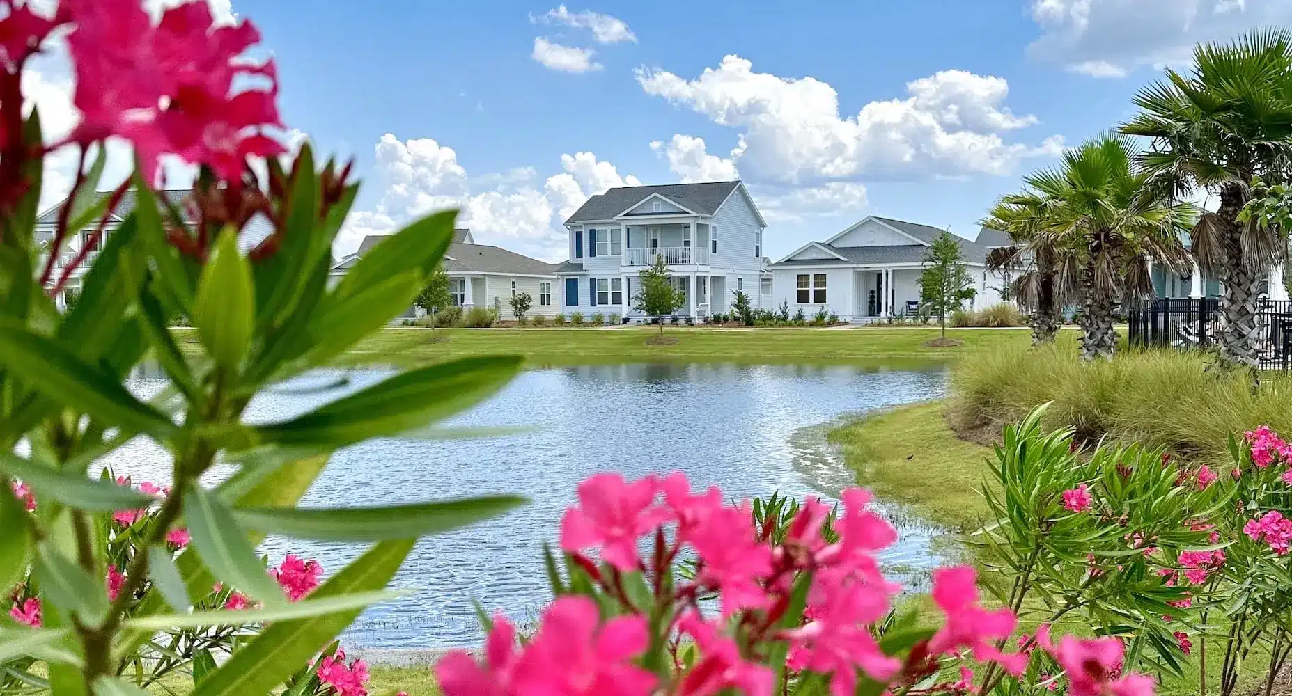 SweetBay Community overlooking pond with vegetation and homes