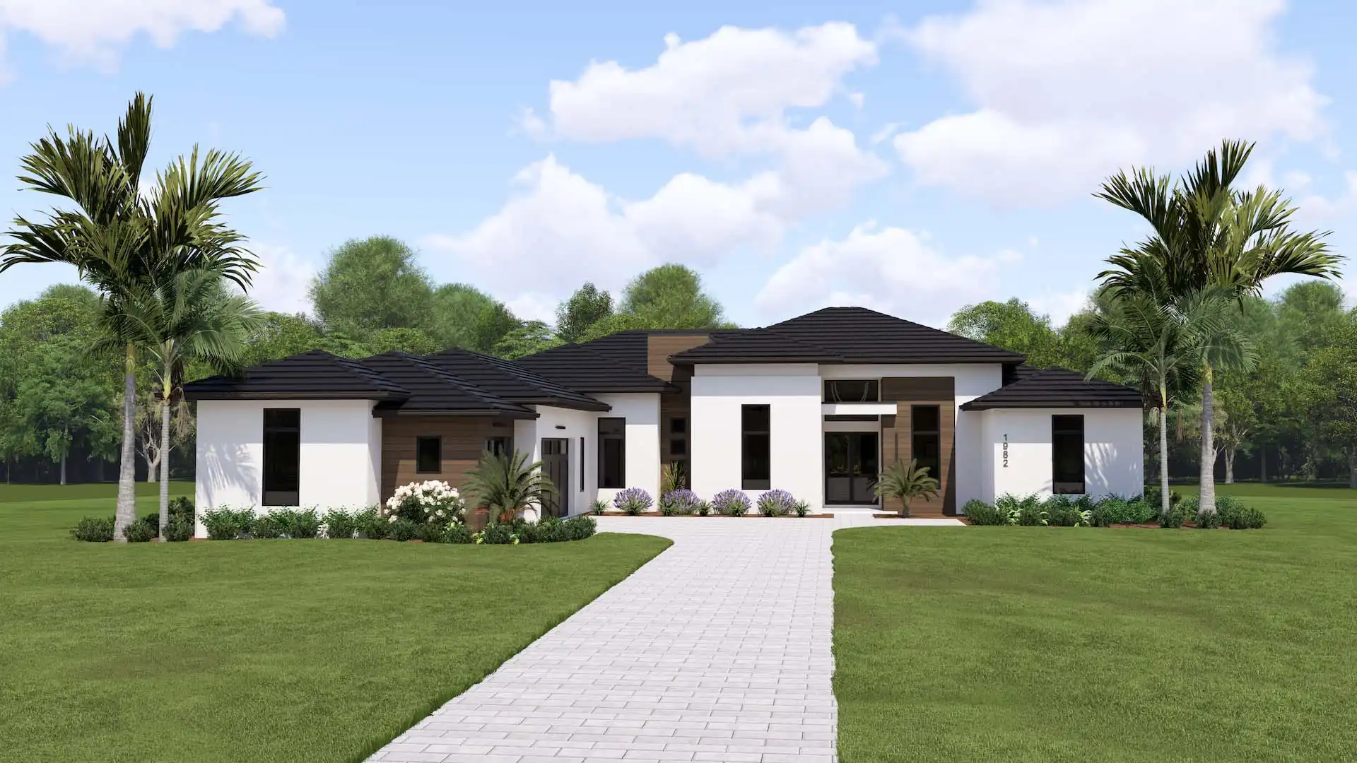 Zenith - Elevation A