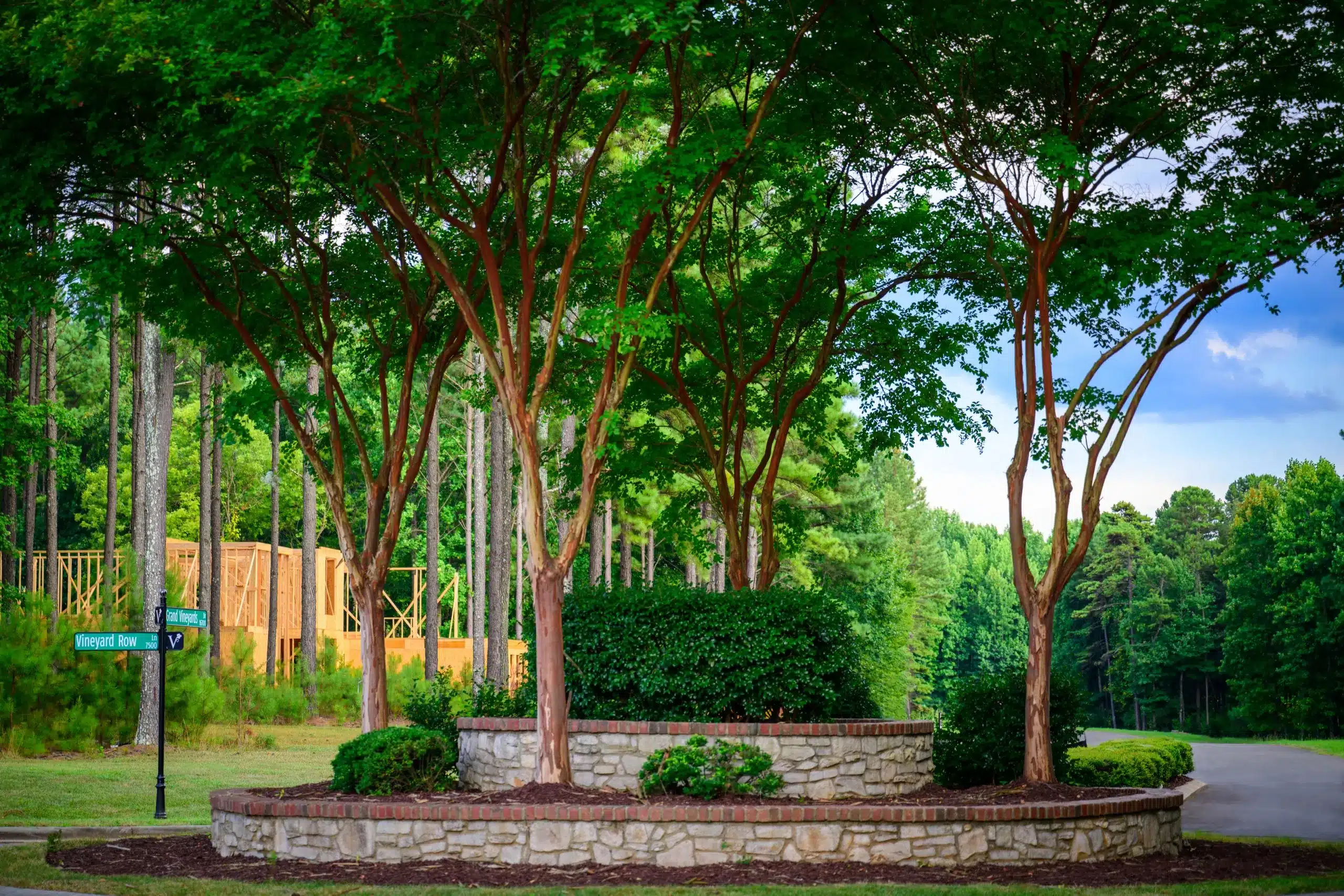 Custom Homebuilder in The Vineyards at Cheval